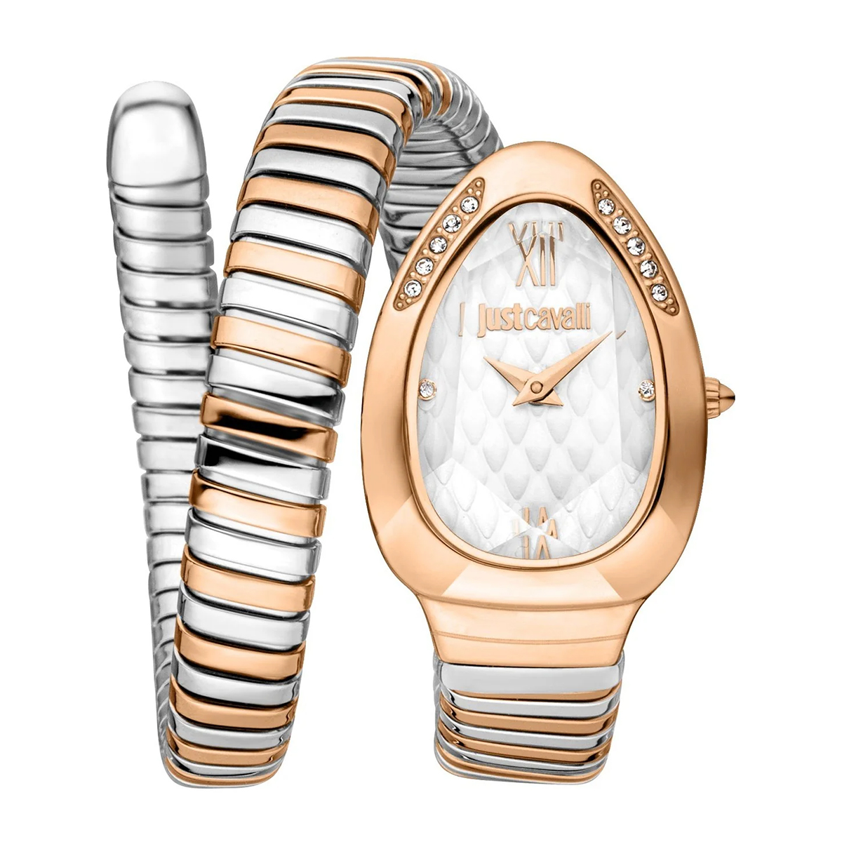 MONTRE JUST CAVALI FEMME  ACIER